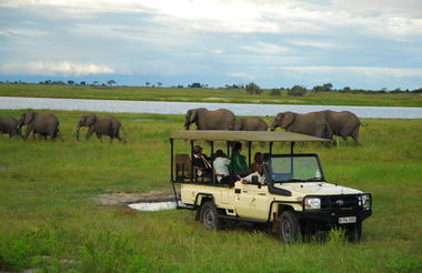 Sanctuary Chobe Chilwero Game drive